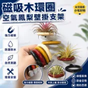 臺灣嚴選【源頭實惠】磁吸木環圈空氣鳳梨綠植掛壁支架簡約diy冰箱貼裝飾