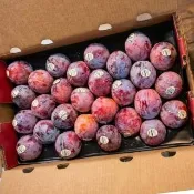 【RealShop】空運鴕鳥蛋 美國加州特產蜜李 約4kg±10%原箱 27-28顆裝