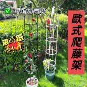 🔥【迴頭客857人】歐式庭院爬藤架 陽臺綠植支架 可拚接多層飄香藤薔薇花架子室內家用花架子 H38C