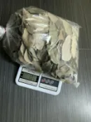 台灣土肉桂葉  日曬處理【台灣本島-含運】