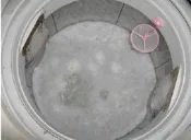 買9送1~1包可洗2次超省錢，歡迎試用~我們沒有華麗的包裝只有樸實價格~SPA洗衣槽專用活氧去垢鹽~安全無毒~