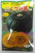 【野菜部屋~】K34 將軍栗子南瓜種子2顆 , 早生品種 , 南瓜種子~