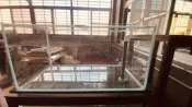 現役二手魚缸，洗好馬上可用，90*45*45公分，高雄大寮區，ㄧ樓好搬，自提不幫寄