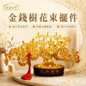 享家時代 擺件｜搖錢樹發財樹｜花束手工發財樹｜全套｜客廳擺放花金錢樹｜迎客松招財樹