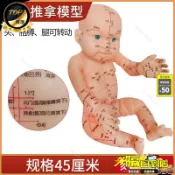 爆款免運🔥小兒推拿娃娃模型培訓娃娃帶穴位仿真按摩嬰兒中醫人體經絡教學用AM