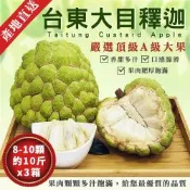 【金好迦】嚴選台東大目釋迦x3箱 (大粒果8~10顆/10斤) 台東綠寶石 產地直送