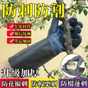 千織屋 牛皮防護手套 防刺手套 園林園藝修剪玫瑰 剝板栗子防滑防扎 止滑耐磨 戶外手套手套 砍樹手套 防護手套