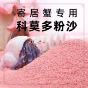 🔥免運，菲律賓貝殼細沙珊瑚底沙，魚缸造景裝飾，海缸三湖鯛魚寄居蟹適用，質感自然，穩定水質，打造原生景觀水族底砂飼養用品