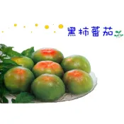 黑柿番茄苗 一代交配種苗 職業指定品種