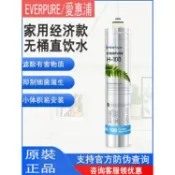 寓偉 美國進口濱特爾 EVERPURE愛惠浦 主濾芯H-100 H-104淨水器EV961116芯子
