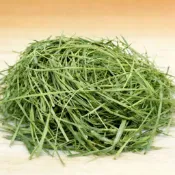 【青青草原寵物館】多種類搭配綜合牧草 已過篩 苜蓿提摩西一割二割燕麥草甜小麥草百慕達草 提升兔子龍貓豚鼠荷蘭豬食慾口感