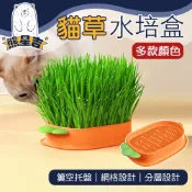 當天馬上出⭐【熊星吉】貓草水培盒 小麥貓草水培器水培貓草盒撞色貓草水培盒龜草苜蓿大麥水栽盒水耕盆栽另售貓草種子