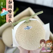日本靜岡縣 皇冠哈密瓜(單粒1.6kg/雙粒3.8kg) 禮盒裝Ｉ緁迪水果JDFruit 高級水果店