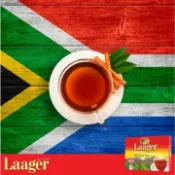 【嚴選SHOP】Laager 南非國寶茶 80包/盒 博士茶 南非博士茶 Rooibos tea茶包無咖啡因【Z523】