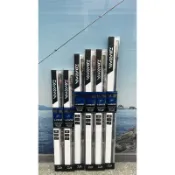 =佳樂釣具= 24年新品 DAIWA 秋潮F 筏磯竿 蚵棚 海釣場