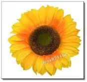 ◎花語人造花資材◎ ＊批發價38公分特大向日葵花頭＊太陽花~櫥窗~會場佈置~攝影~畢業季