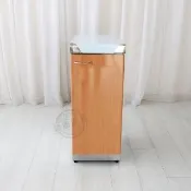 【Abis】客製商品-豪華升級款不鏽鋼20KG用瓦斯桶台/流理台/工作台/收納廚具-多款門板可選(桶身430)