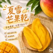 夏雪芒果乾 100g 批發【附發票｜日生元】芒果 果乾ⅴⅴⅴ