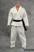 〈正版模玩〉ZYTOYS 1/6 柔道裝 功夫 白色功夫裝 兵人手辦 人偶模型ZY15-16