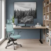 【Costco好市多】ERGOKING S5 人體工學椅 灰框藍網 ERGOKING S5 Ergonomic Mesh Chair Gray Frame Blue Mesh