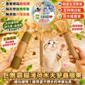 【CXF寵幸坊】木天蓼棒 蟲癭果 貓零食 巨無霸 木天蓼貓薄荷 木天蓼棒 貓咪紓壓 貓玩具 逗貓棒 貓咪潔牙 貓咪紓壓