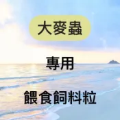 大麥蟲餵食飼料粒/麵包/麥麩/麥片/水蒟蒻