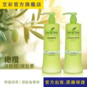 【芝彩 Chihtsai】橄欖洗髮精 護髮素｜洗護組 保濕 修護 滋潤 適合染燙受損乾燥髮質｜官方出貨.原廠保證
