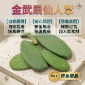陸龜驛站｜無毒有機金武扇仙人掌 陸龜聖品 補品 多肉植物團善有機飼料爬蟲草食物材蘇卡達亞達柏拉赫曼豹龜 櫻桃紅腿