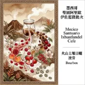 『船鼻子』巴拿馬 波奎特 瑪瑪卡特莊園 伊瑪IRMA藝伎 | 日曬 淺中焙 | 鳳梨百香果.蜂蜜青茶 | 精品咖啡豆