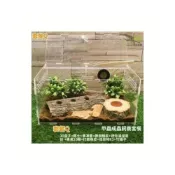 (店+)爬蟲箱 活體成蟲甲蟲獨角仙飼養盒 寵物箱 亞克力造景箱 蜘蛛守宮鍬形蟲造景 爬寵箱 豹紋守宮睫角肥尾鬆獅蜥蜴角