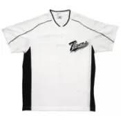 MIZUNO 日本職棒 阪神虎 刺繡 2007 會員限定 排汗練習衣 L(球衣 電繡 NPB 棒球 美津濃 短T 小尺寸