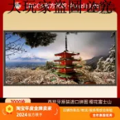 大玩家專營店 現貨Educa忠靈塔與富士山3000片西班牙進口拼圖成人玩具雷諾瓦