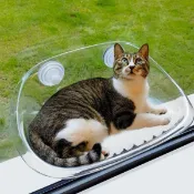 MEOWMO透明懸浮吸式貓吊床