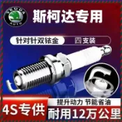 【兔兔車品】【針對針雙銥金】SKODA 斯柯達火星塞火花塞 雙銥金火星塞Octavia karoq Fabia Yeti