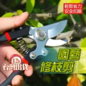【台灣現貨】修枝剪 粗枝剪刀 園藝剪刀 剪定鋏 檳榔剪刀 採果剪 農用剪 花剪 芽切剪 粗支 安全鎖扣設計