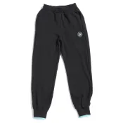 PUMA 流行系列 SWxP 棉褲 運動褲 長褲 男款 53362001 現貨 歐規