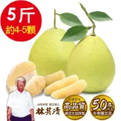 【正台南林家】50年以上真老欉麻豆文旦 產地直送1箱(5台斤/箱 約4-5顆) 柚子 神腦生活【玉山信用卡+APP下單最高9%回饋★領券再折】
