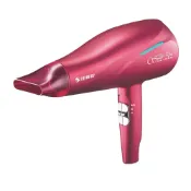 【蝦皮直營】達新牌 銀離子抗菌負離子吹風機 TS-2969 現貨 廠商直送