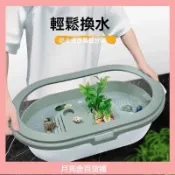 優選|專業烏龜飼養箱 - 完美適用於水龜、陸龜及兩棲爬蟲的多功能飼養缸，提供舒適安全的生活環境🔥