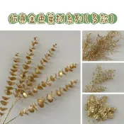 『花藝夢』全色系現貨✅️仿真金色葉材珊瑚枝《原裝販售》薄荷葉 細柳葉 迷你尤加利 小樺木 冬青 迷你龜背玉龜背玉紅色東青