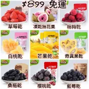 水果乾蜜餞系列 芒果乾無花果乾檸檬乾草莓乾楊梅乾蔓越莓乾櫻桃乾藍莓乾桂圓乾葡萄乾榴槤乾桑椹乾蘋果乾番茄乾奇異果橘子乾