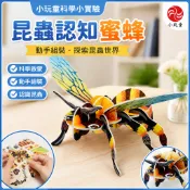 「小玩童科學小實驗」兒童科學實驗玩教具國小生科教教具科技小製作發明昆蟲認知蜜蜂