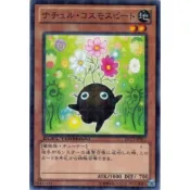 [YEE遊戲王] DT04-JP022 DTC2-JP012 自然波斯菊甜菜 (普鑽)