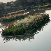 人工生態浮島生態浮島人工浮床水上種植生態浮床水上種菜淨化水質