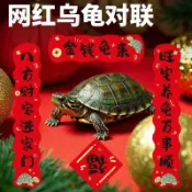 🌈🌈2026年新款烏龜迷你春聯爬寵小對聯春節萌寵龜缸自粘貼紙裝飾用品