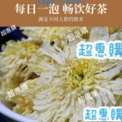 🔥超惠購📢超值促銷🔥黃山白菊花茶新花清火菊花茶白大朵菊花批發白菊花