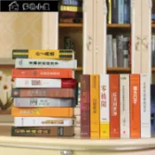 林之舍家居 假書 現代中式金融管理仿真假書 擺件 辦公室桌面道具書模型家居裝飾品 開發票