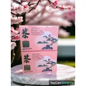 #青春茗茶#2025年春季~鹿谷鄉農會比賽茶-頭等獎
