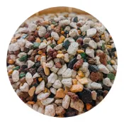 (店+)【綠色山嵐】多肉植物土 彩虹多肉土 益生菌多肉土 多肉土 塊根仙人掌土 顆粒土 鋪面土 多肉植物專用土