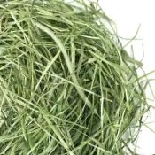 【 【萌寵鮮牧草】萌寵牧草 過篩 提摩西二割 百幕達 苜蓿 提摩西一割 甜小麥草 燕麥草 乾淨整齊兔子龍貓豚鼠荷蘭豬牧草
